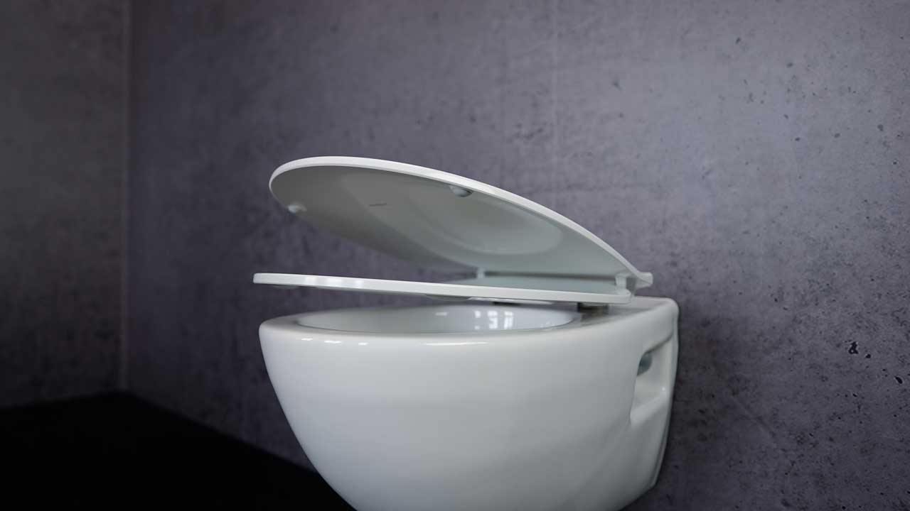 Pressalit toilet deals seat